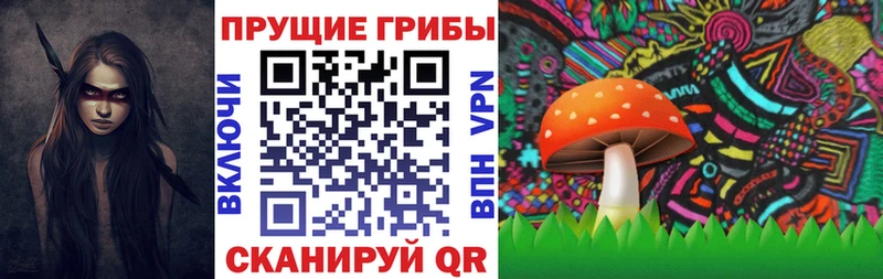 Купить где  Светогорск  Галлюциногенные грибы Magic Shrooms 